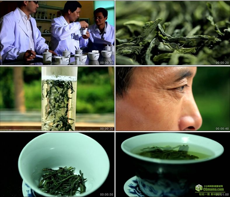 YC0064-沏茶品茶喝茶茶叶特写六安瓜片/中国高清实拍视频素材下载
