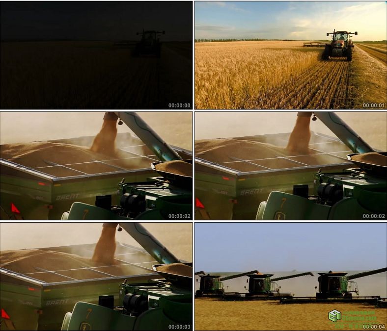 YC0198-收割机收割粮食麦子水稻粮食收获/中国高清实拍视频素材下载