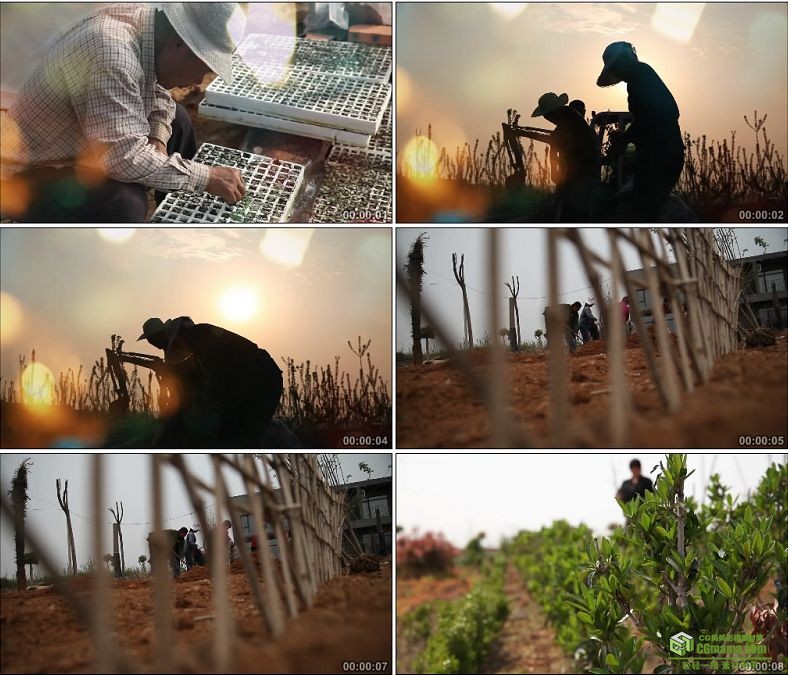 YC0199-农民种植培养植物培育果树/中国高清实拍视频素材下载