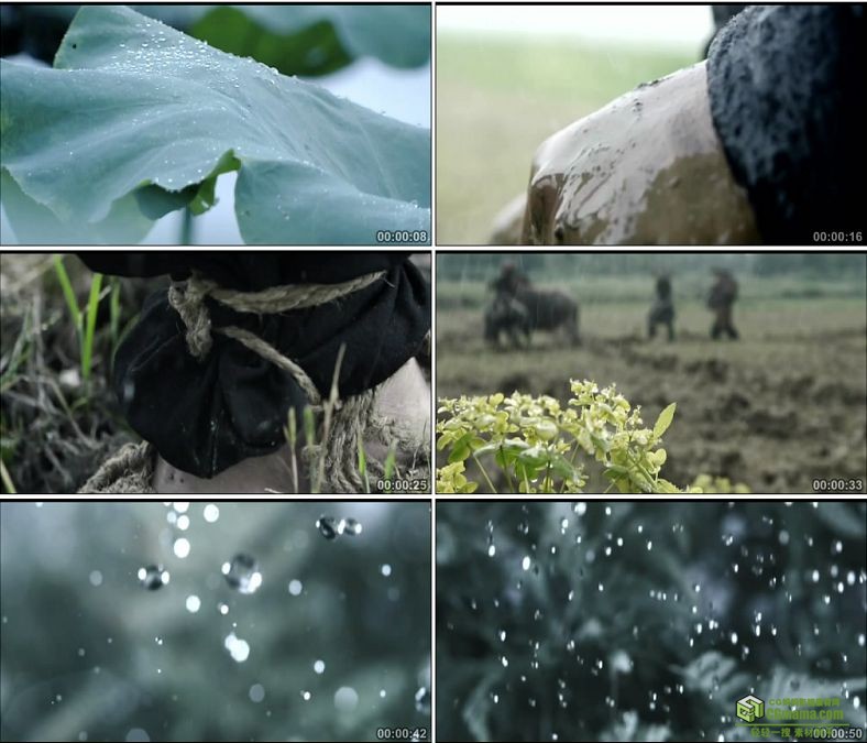 YC0501-下雨雨滴特写农民种地田间劳作耕地犁地中国高清实拍视频素材下载