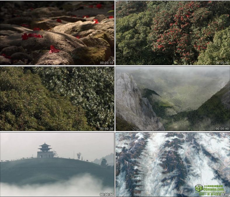 YC0560-中国高黎贡山山峰云海红花航拍高清实拍视频素材下载