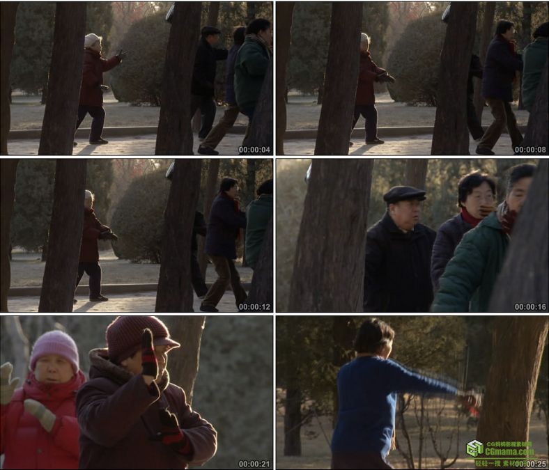 YC0564-老年人在公园锻炼身体太极舞剑练剑中国高清实拍视频素材下载