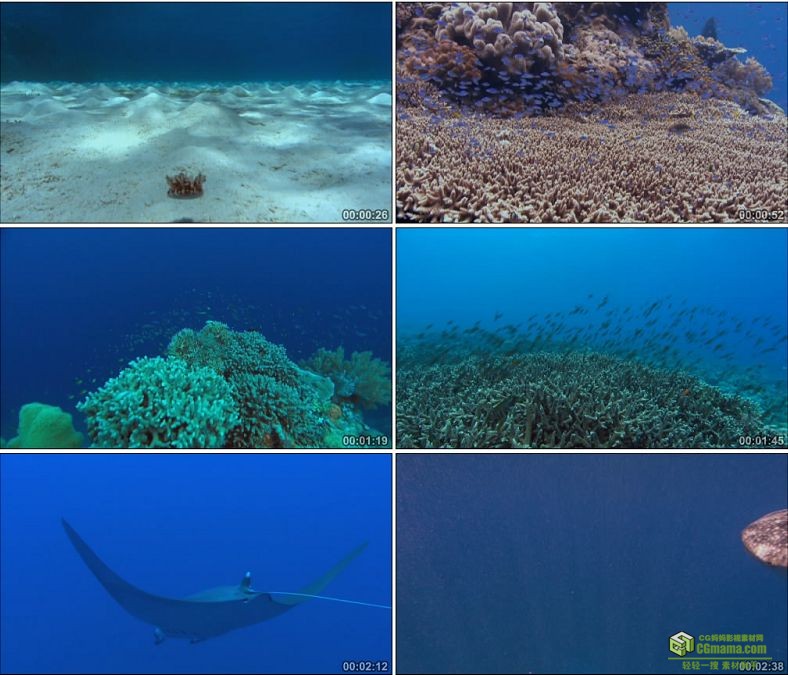 YC0710-海底世界西沙群岛鱼类风光中国高清实拍视频素材下载