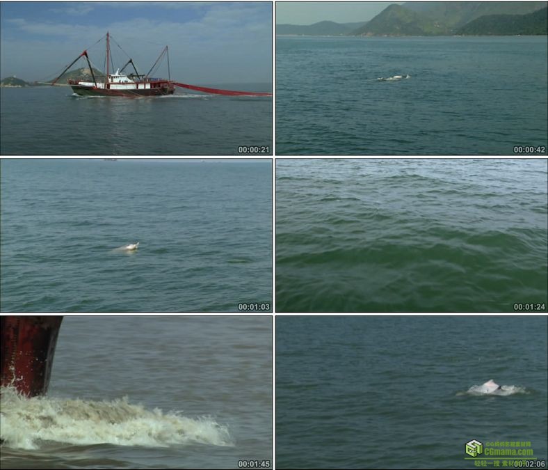 YC0711-渔船捕鱼海豚大海海洋中国高清实拍视频素材下载