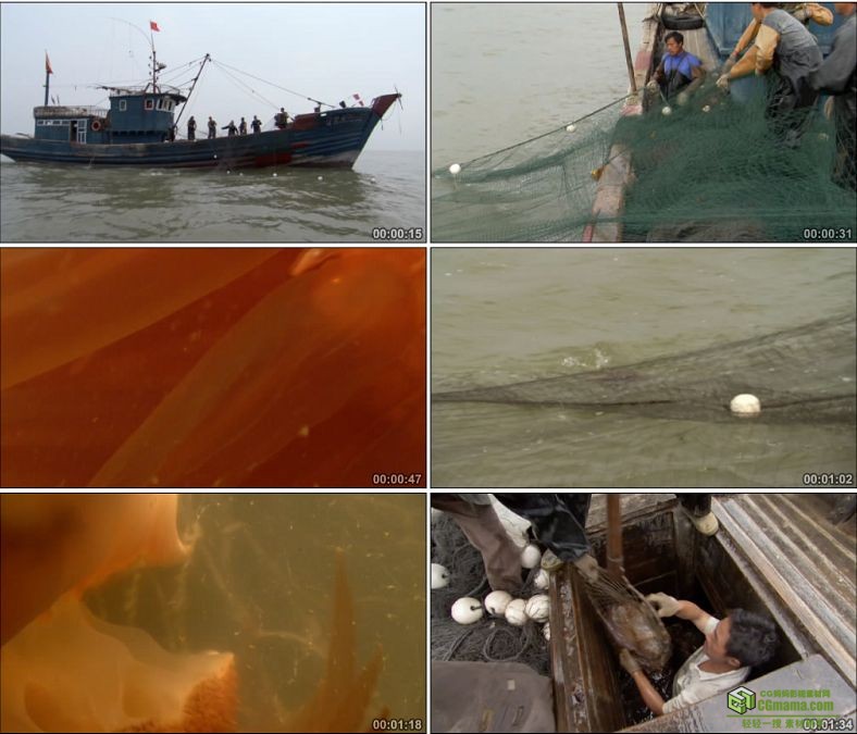 YC0724-渔船出航渔民渔网捕捞水母中国高清实拍视频素材下载