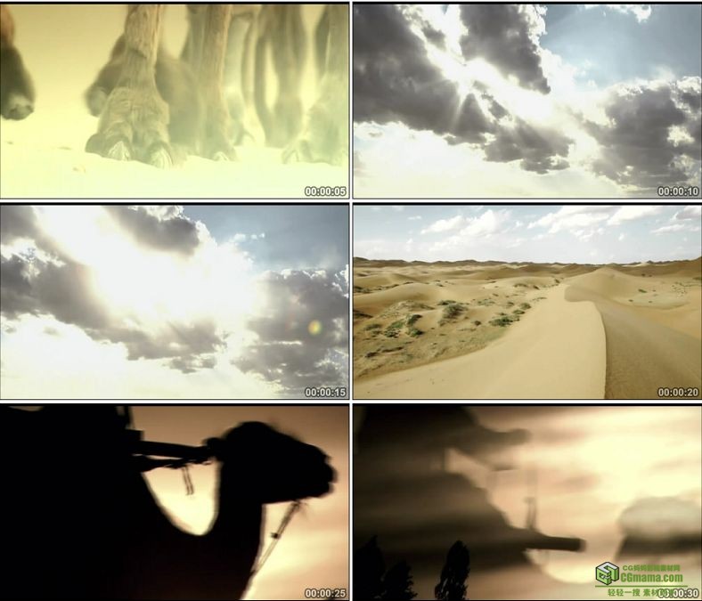 YC0798-骆驼商队丝绸之路沙漠之舟中国高清实拍视频素材下载