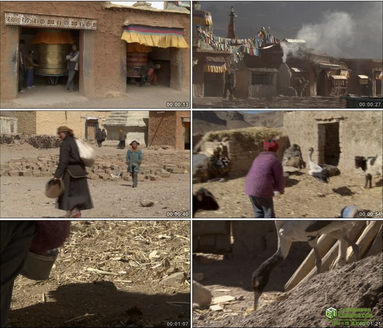YC0812-西藏农村村落炊烟小朋友玩耍喂仙鹤放羊中国高清实拍视频素材