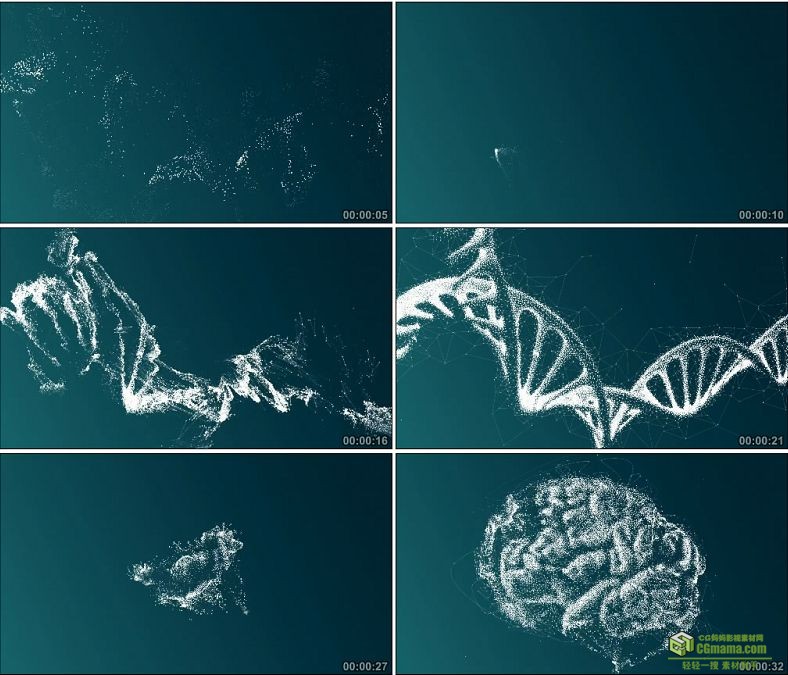 YC0965-基因链与大脑粒子特效动画生物科技小高清视频素材