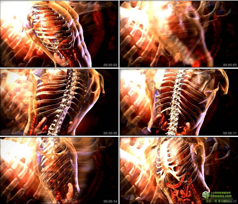 YC0975-医疗科技人体解剖分析小高清动态背景视频素材