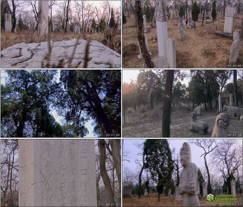 YC1063-中国文化遗产孔林墓节墓碑高清实拍视频素材