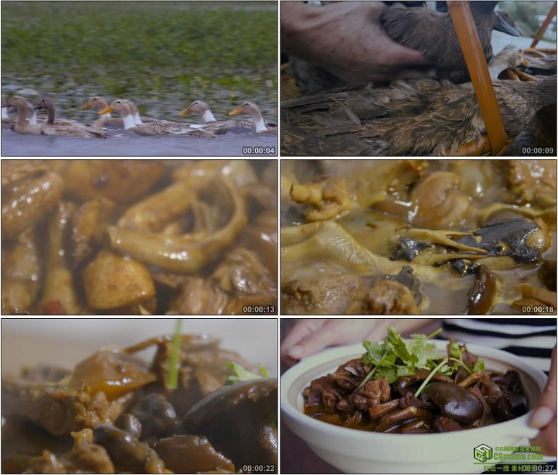 YC1133-野鸭群/捉鸭子/鸭子炖蘑菇特色美食高清实拍视频素材