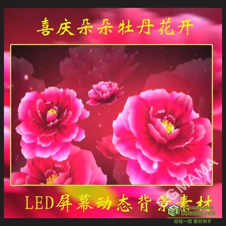 LED0068-喜庆牡丹花民歌民族舞蹈婚礼背景高清LED视频素材