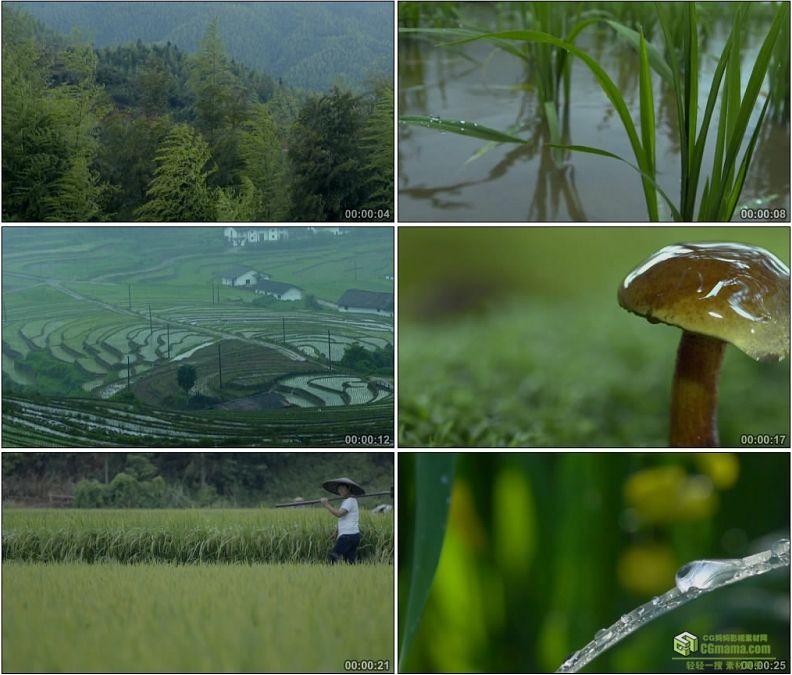 YC1176-梅雨时节春雨过后雨中农民劳作种地美景高清实拍视频素材
