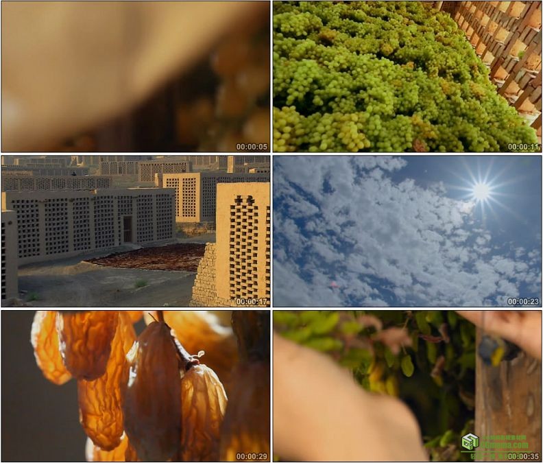 YC1212-新疆吐鲁番新鲜葡萄风房晾晒制作葡萄干高清实拍视频素材
