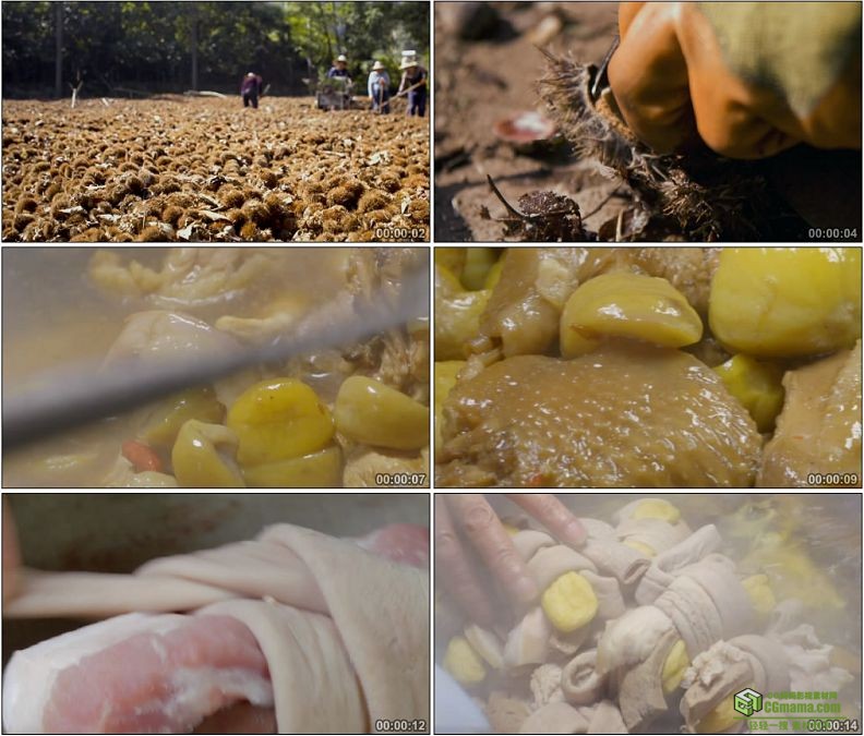 YC1213-新鲜板栗炖土鸡美味高清实拍视频素材