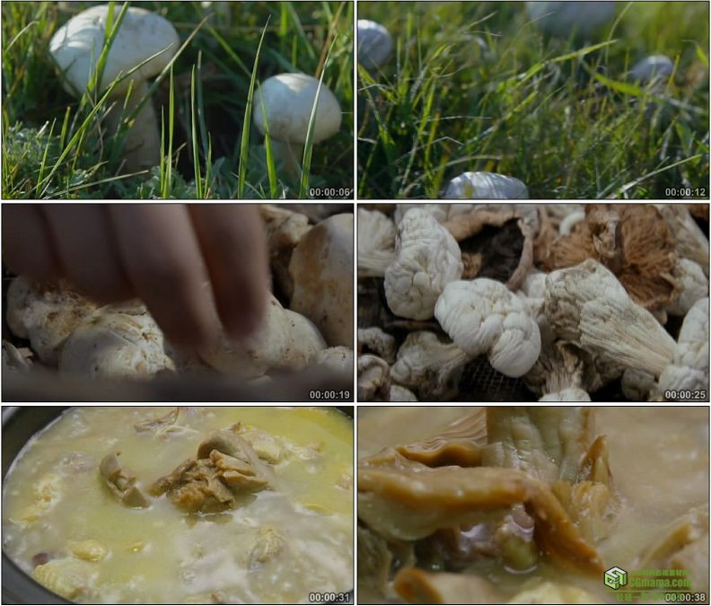 YC1215-新鲜蘑菇小鸡炖蘑菇美味高清实拍视频素材