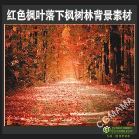 LED0138-红色枫叶落下枫树林高清led视频背景素材
