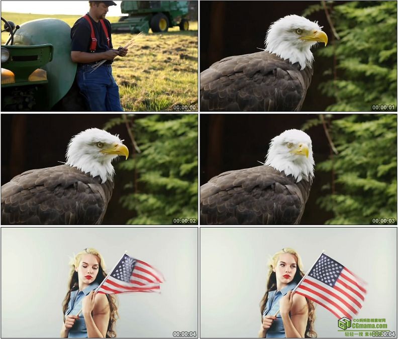 YC1395-美国农民老鹰美女举美国国旗高清实拍视频素材