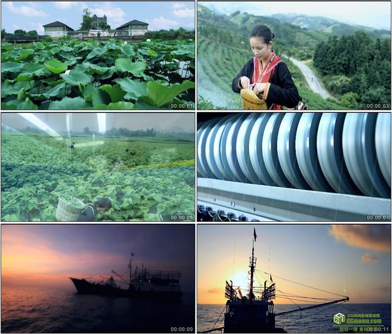 YC1416-农业渔业采茶茶园采桑生产蚕茧渔船夕阳高清实拍视频素材