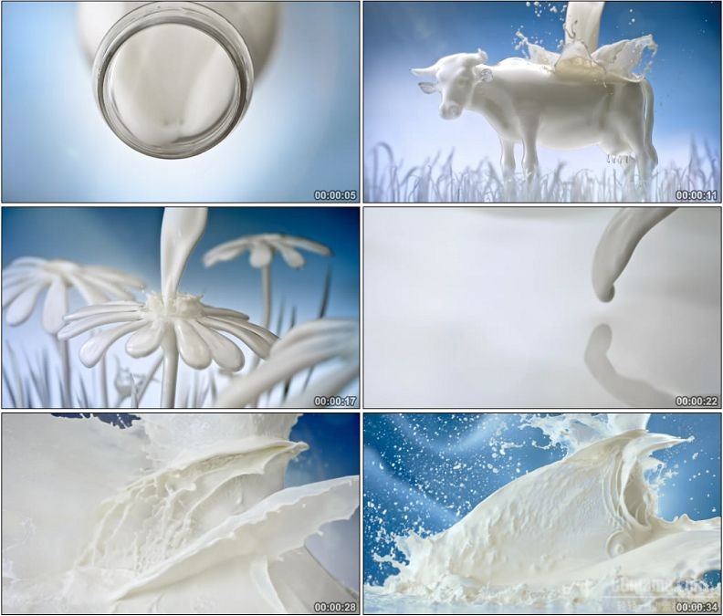 YC1557-牛奶企业宣传片 牛奶 奶牛 鲜奶 美女跳舞高清实拍视频素材