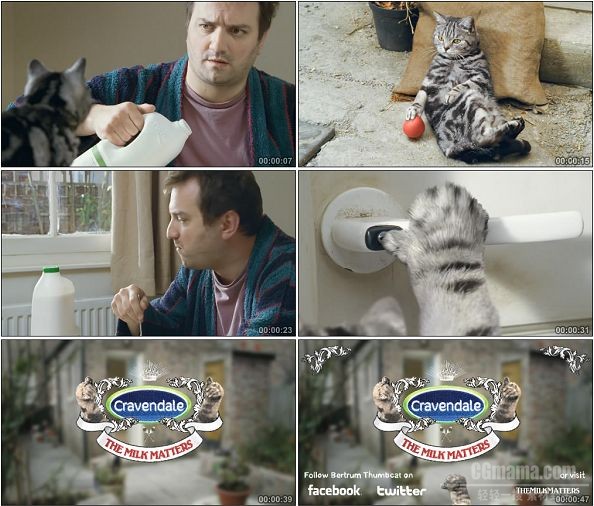 TVC00278-Cravendale 牛奶广告猫咪篇.1080p