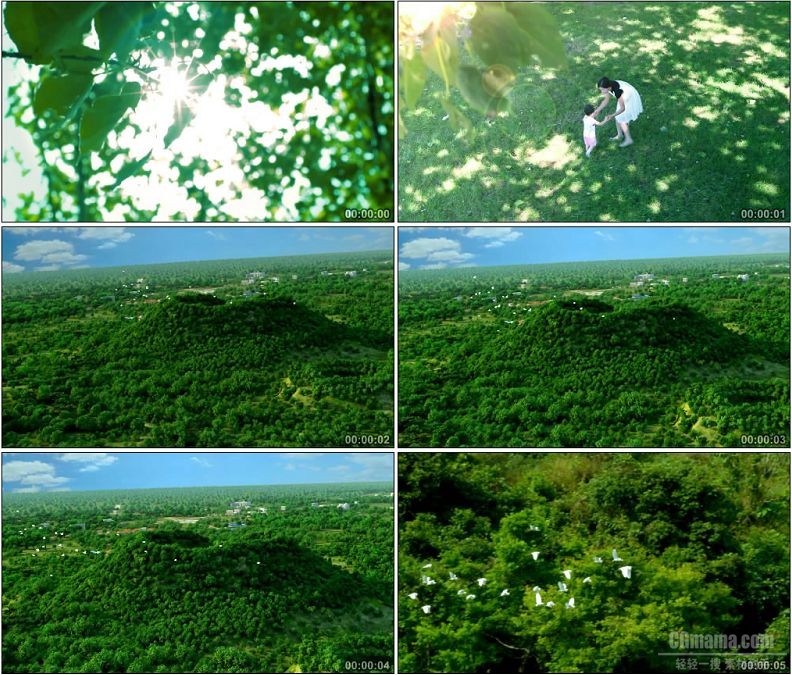 YC1665-阳光树林母女和平鸽高清实拍视频素材