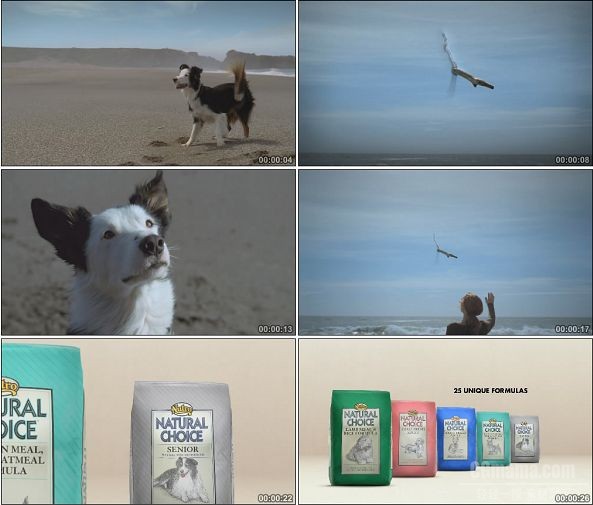 TVC00699-Nutro Natural Choice 宠物食品广告.1080p