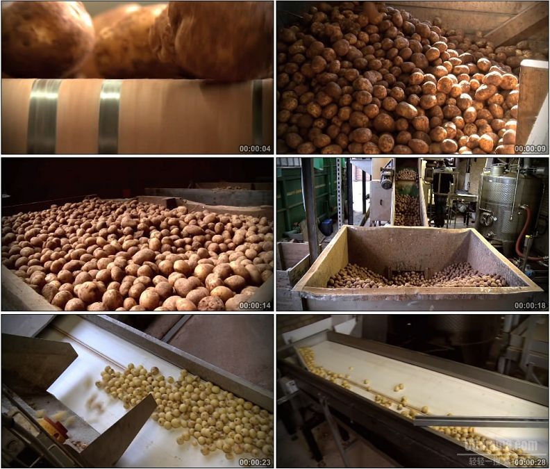 YC1758-机械化分拣土豆清洗土豆高清实拍视频素材