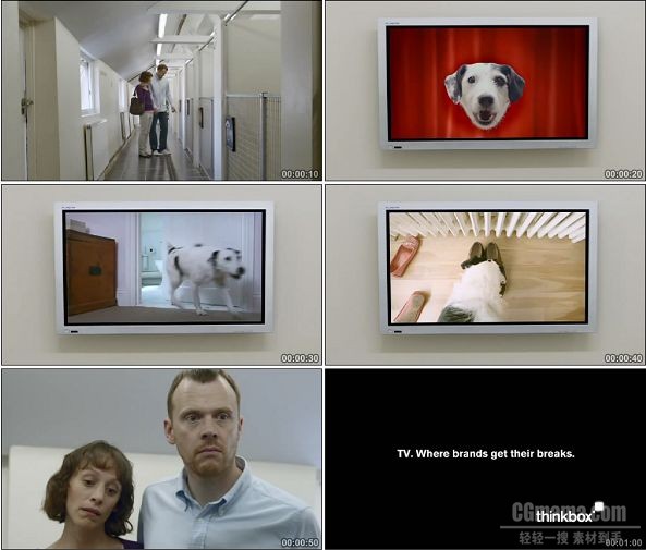 TVC00901-Thinkbox广告 Dogs Home.720p