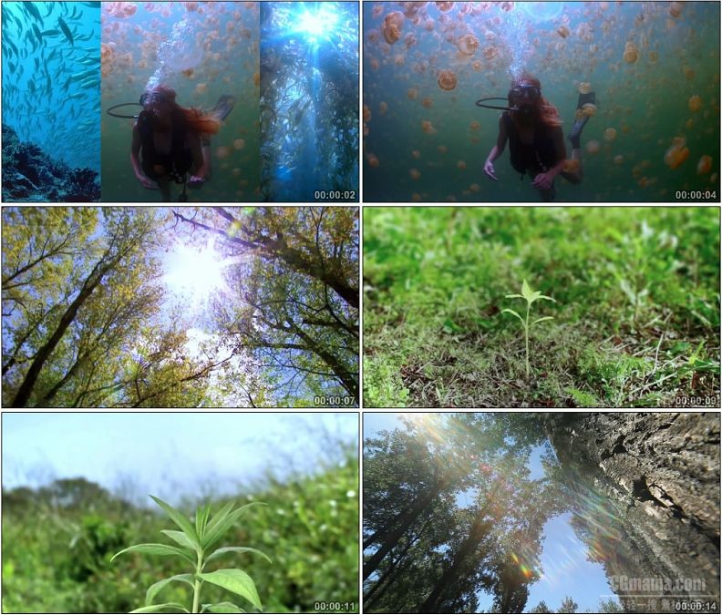 YC1948-鱼群水母水植物生长阳光雨露自然美景高清实拍视频素材