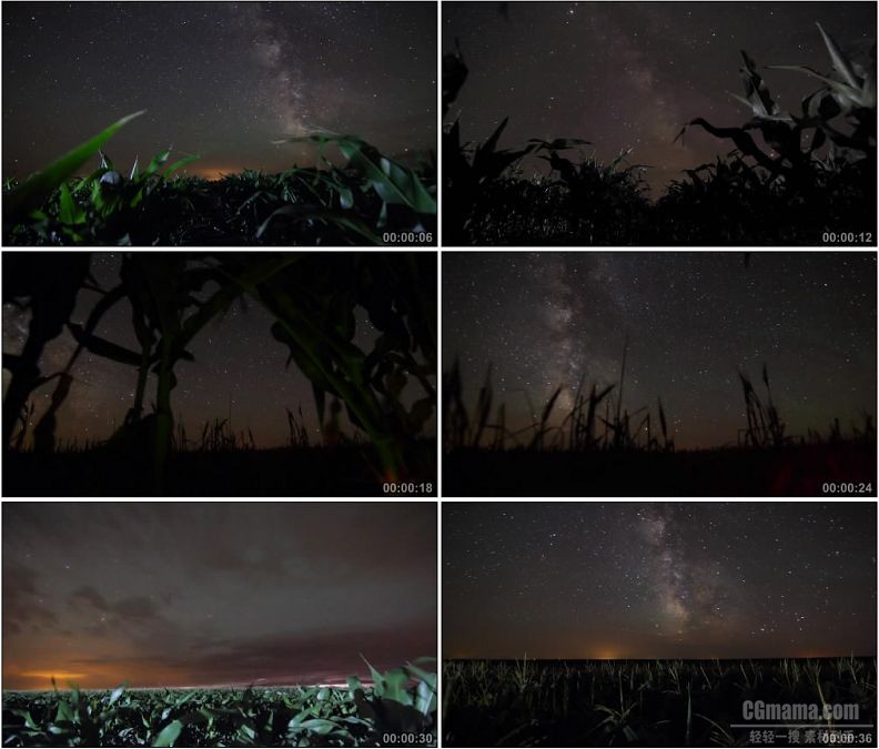 YC2000-田野玉米地夜晚星空美丽景色延时镜头高清实拍视频素材