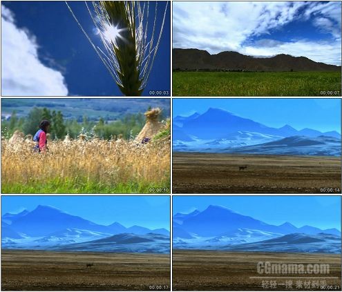 CG0120-阳光下的小麦和高原风景高清实拍视频素材