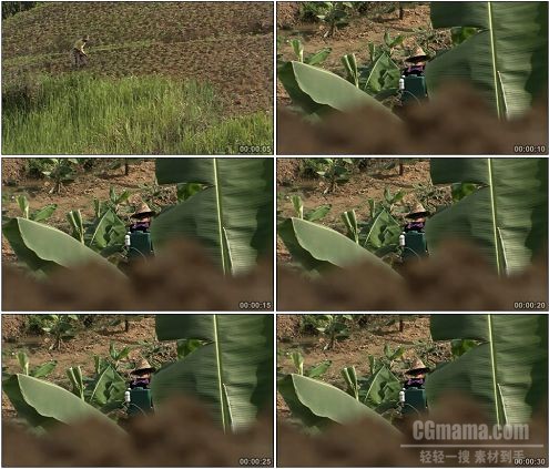 CG0125-农民整理山坡种植高清实拍视频素材