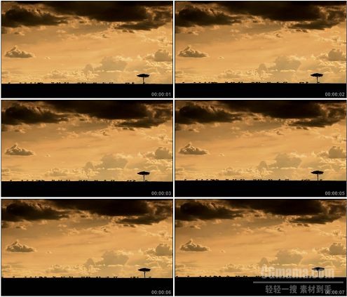CG0164-橙黄色夕阳晚霞映照下走过的马群高清实拍视频素材