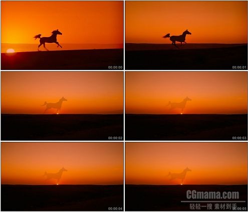 CG0189-黄昏夕阳晚霞中奔跑的马高清实拍视频素材