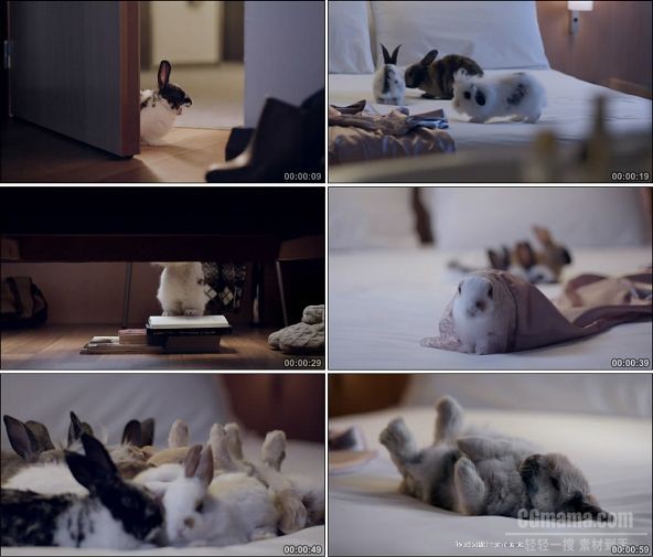 TVC01662-Ibis宜必思酒店(服务类) Snuggling Bunnies.1080P