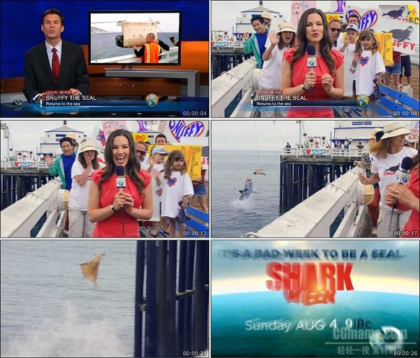TVC01685-Shark Week 2013鲨鱼周(活动类) Snuffy the Seal.1080P