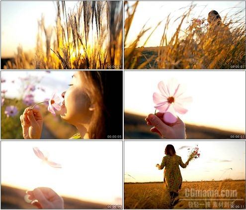 CG0313-田野里女孩和花的画面特写高清实拍视频素材