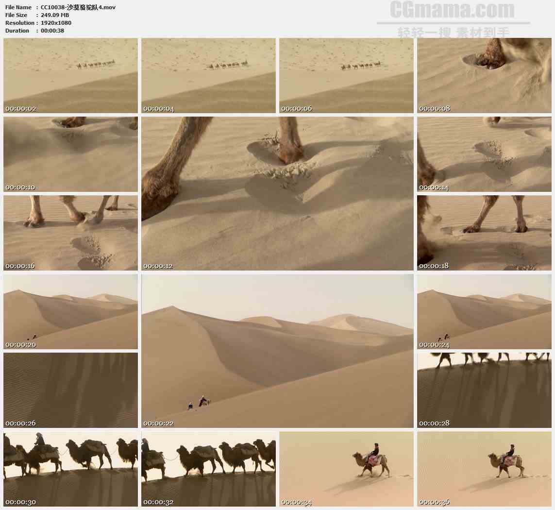 CC10038-沙漠之舟骆驼队特写高清实拍视频素材