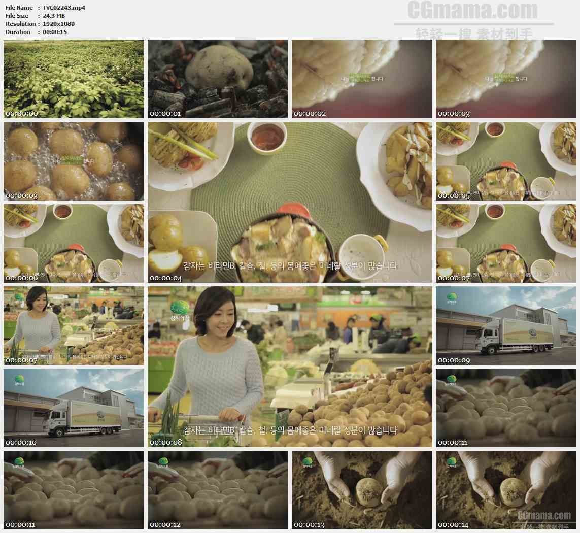 TVC02243-食品有机食品- 绿色土豆