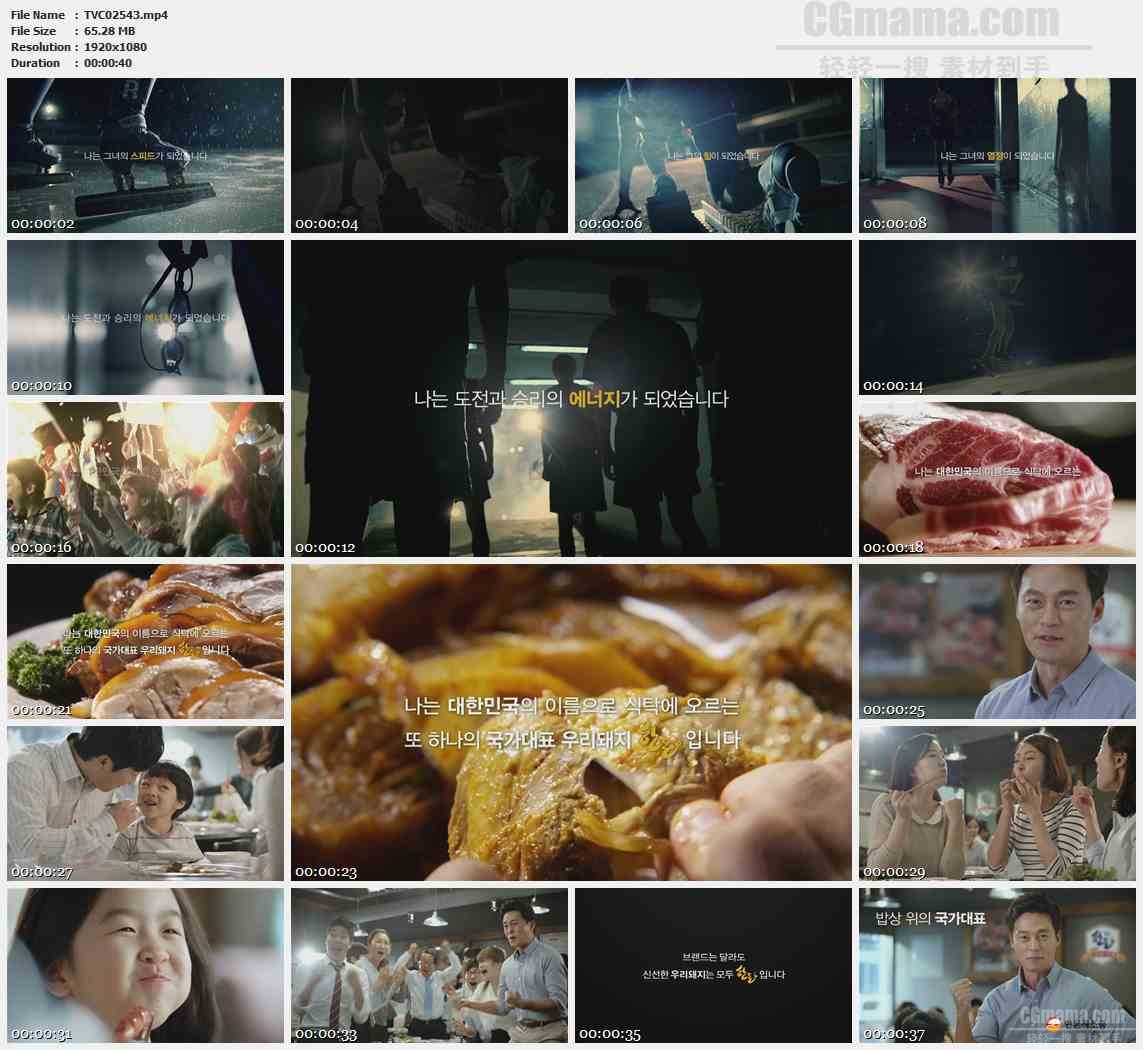 TVC02543-食品肉类- KOREA PORK