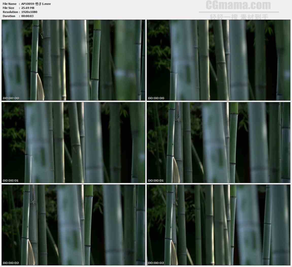 AP10059-绿色竹林竹节高清实拍视频素材