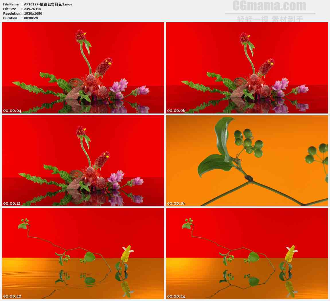 AP10127-鲜花插花盆景高清实拍视频素材