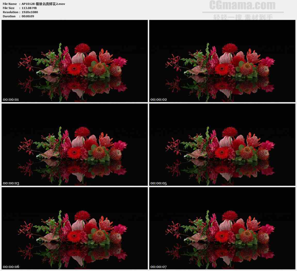AP10128-鲜花插花盆景高清实拍视频素材