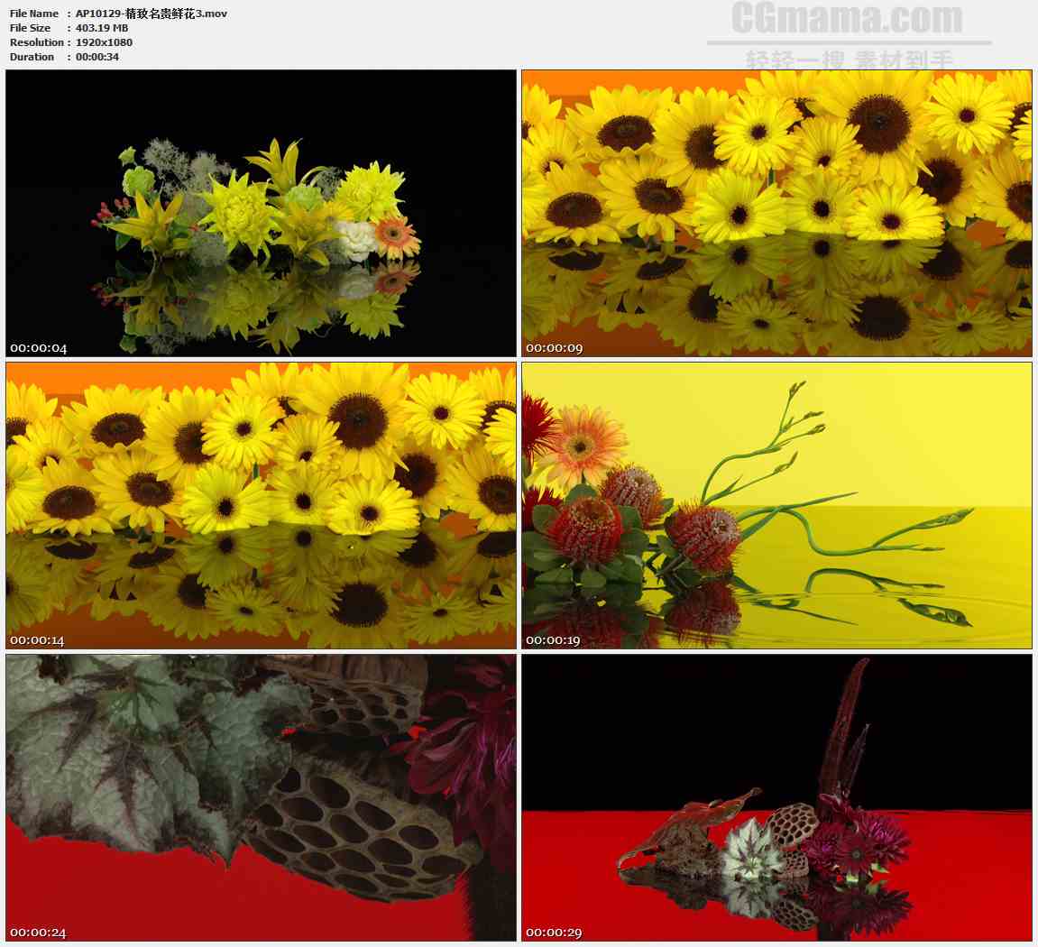 AP10129-鲜花插花盆景高清实拍视频素材
