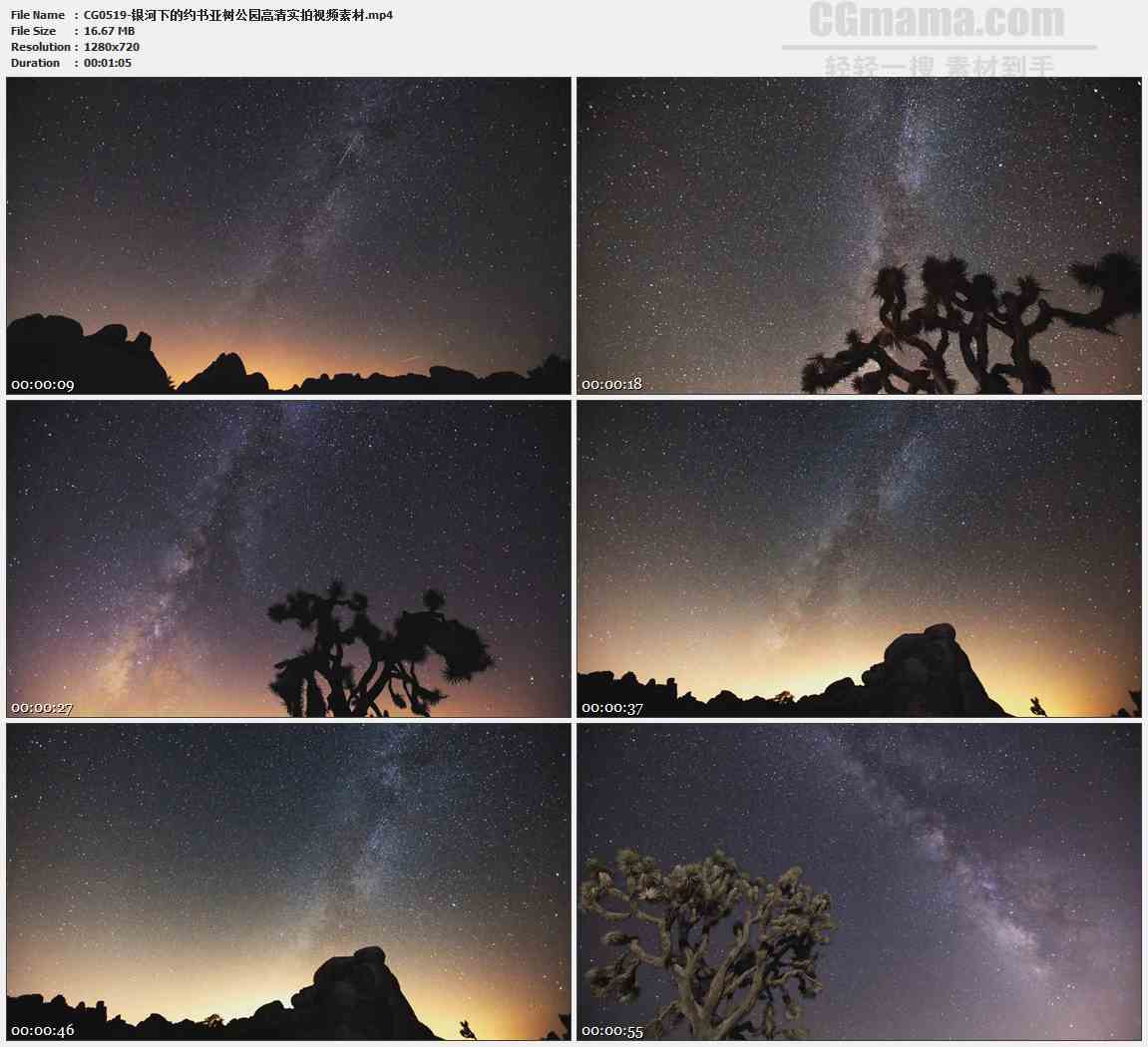 CG0519-银河下的约书亚树公园高清实拍视频素材