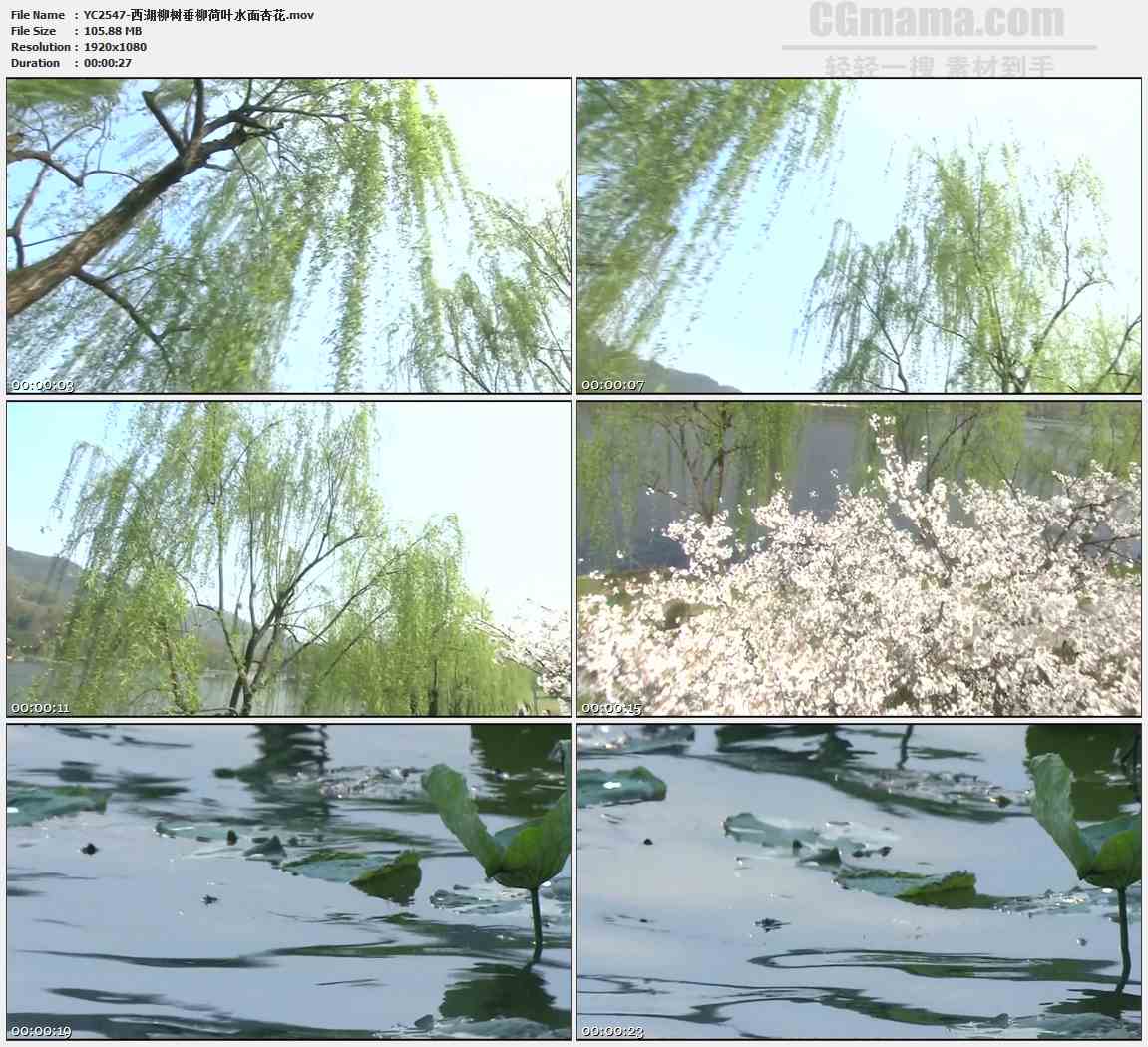 YC2547-西湖柳树垂柳荷叶水面杏花高清实拍视频素材