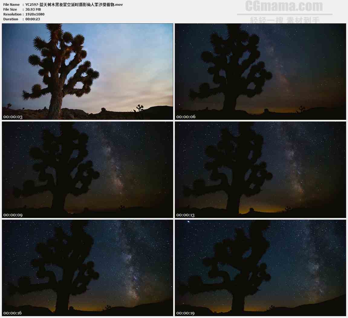 YC2597-蓝天树木黑夜星空延时摄影仙人掌沙漠植物高清实拍视频素材