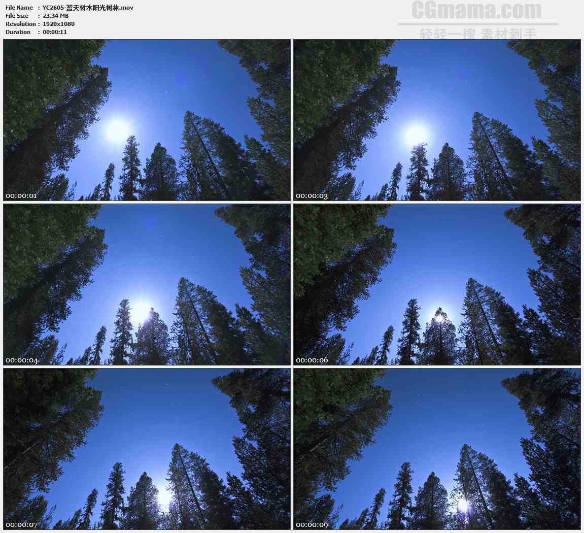 YC2605-蓝天树木阳光树林高清实拍视频素材