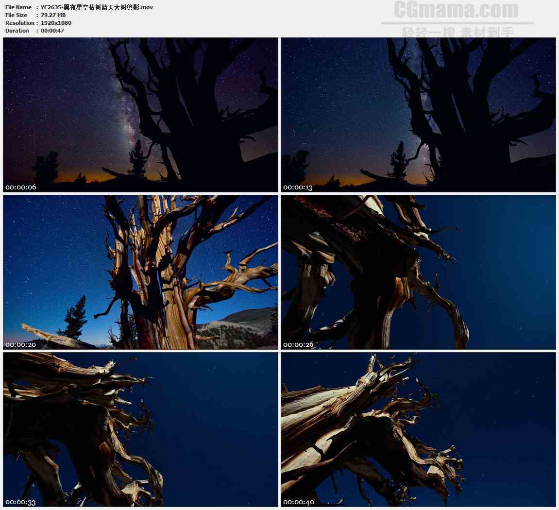 YC2635-黑夜星空枯树蓝天大树剪影高清实拍视频素材